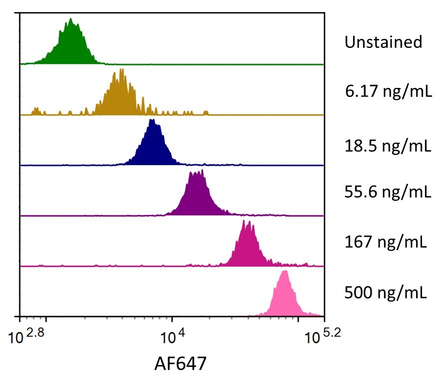 Streptavidin coated beads conjugated to biotinylated anti-Human MUC-1 Monoclonal Antibody were stained with the indicated concentrations of Recombinant Human MUC-1 Fc Chimera Alexa Fluor® 647.